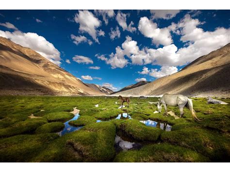 These places in Ladakh are a must-visit this summer | Times of India Travel