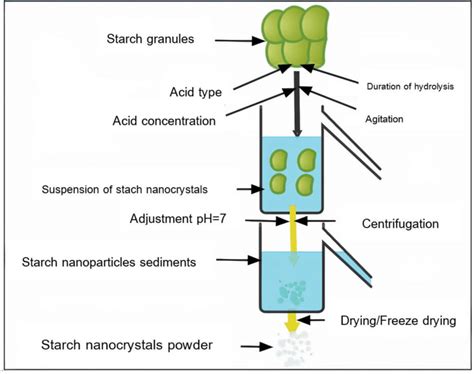 Acid hydrolysis for preparation of starch nanoparticles. | Download Scientific Diagram