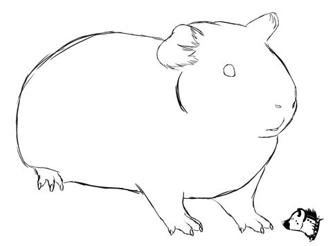 Sketch drawing from GuineaPig Town - would make a cute embroidery pattern! Pig Drawing Easy ...