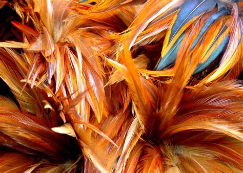 Feathers | Feather dusters for sale at the State College Art… | Flickr