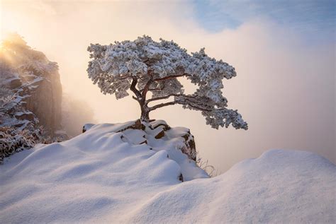 South Korea December Winter Wallpaper,HD Nature Wallpapers,4k ...