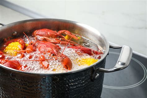 What’s the best way to cook lobster: steamed or boiled? - Maine Lobster Festival