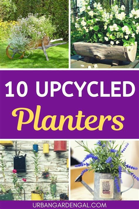 Looking for upcycled planter inspiration? In this article I've listed ...