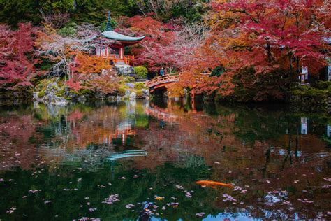 Japan Weather In October 2024 - Cassy Dalenna