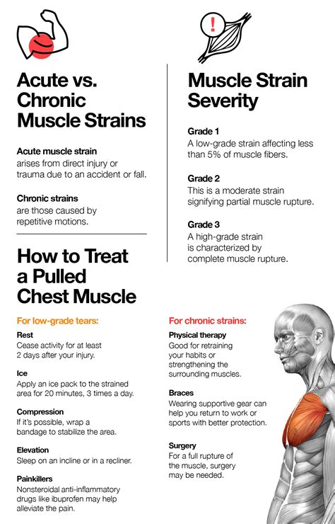 Pulled Chest Muscle: Symptoms, Causes and Treatment – The Amino Company