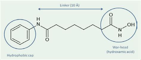 The chemical structure of vorinostat (SAHA). Pharmacophore of HDAC... | Download Scientific Diagram