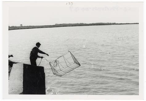 Whitebait fishing in the Estuary | canterburystories.nz