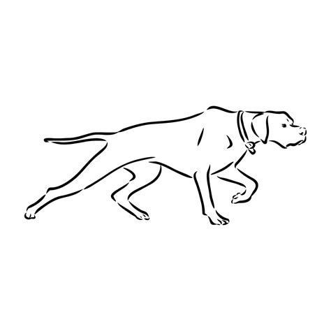 Premium Vector | Dog hand drawn pointer vector illustration isolated