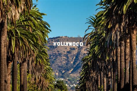 5 Reasons to Avoid the Hollywood Walk of Fame - Drivin' & Vibin'