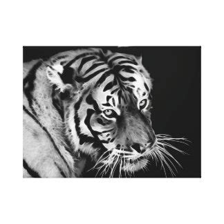 Black White Tiger Wrapped Canvas Prints | Zazzle