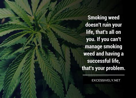 50 of the Best Weed Quotes and Sayings - Page 4 of 5 - Excessively