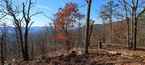 Western Ouachita Trail Hikes | Arklahoma Hiker