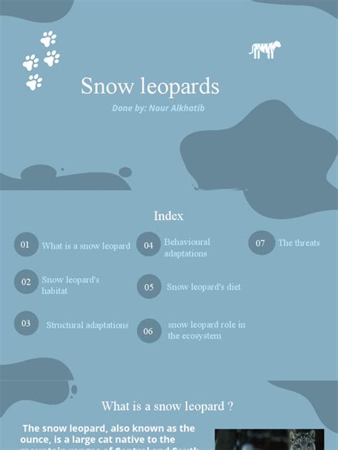 Structural and Behavioral Adaptations of the Snow Leopard: A Comprehensive Look at the ...