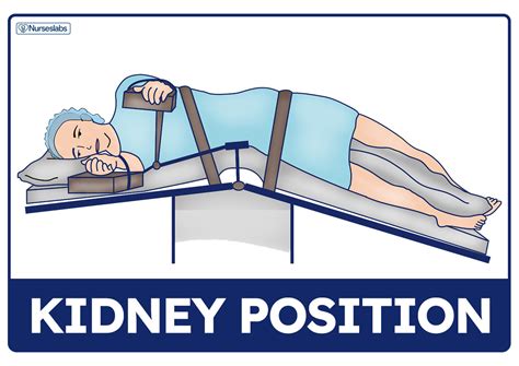 Lateral Kidney Position