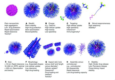 | Characteristics of polymeric nanoparticles (Elsabahy and Wooley ...