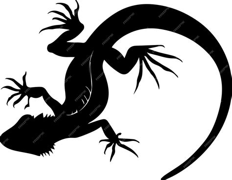 Premium Vector | Lizard vector silhouette illustration black color