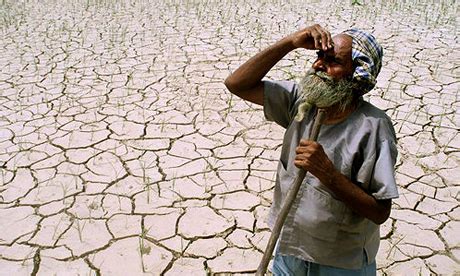 India strives to become 'drought proof' | Environment | The Guardian