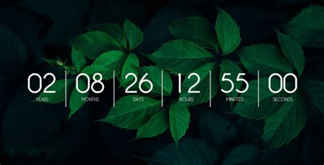 Countdown Timer for Rainmeter by themagnumizer on DeviantArt