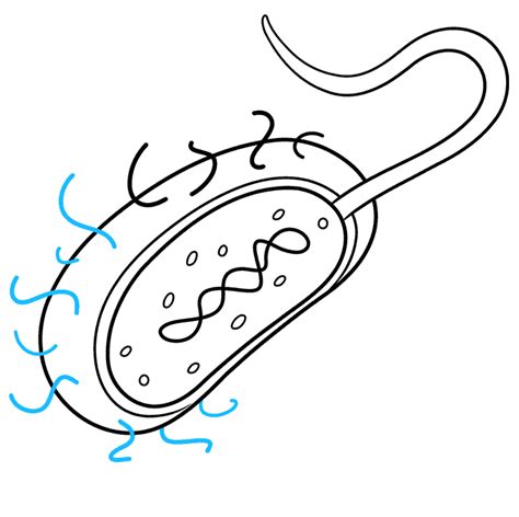 How to Draw Bacteria - Really Easy Drawing Tutorial