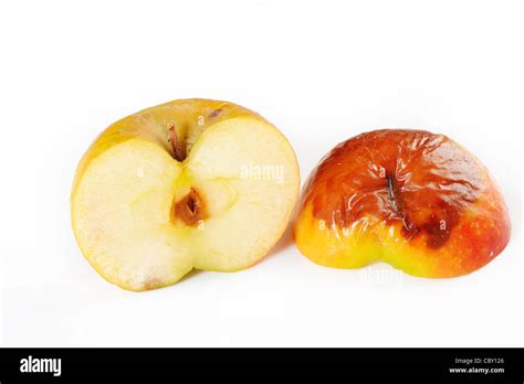 rotten apple with cut section on white background Stock Photo - Alamy