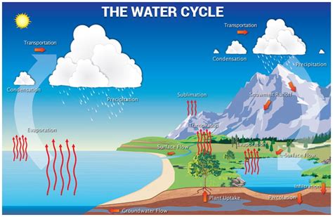 Condensation - Careers Today