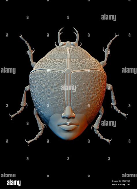 Illustrations beetles,art; 3D graphics; misticism Stock Photo - Alamy