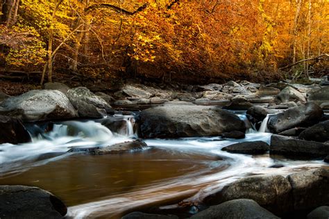 Rock Creek Park might get a new name - Curbed DC