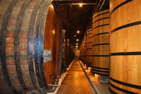 5 Best Wine Cellars in Porto, Portugal - An Experience You Can't Miss!