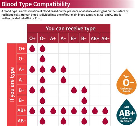 Blood Type Possibilities Chart