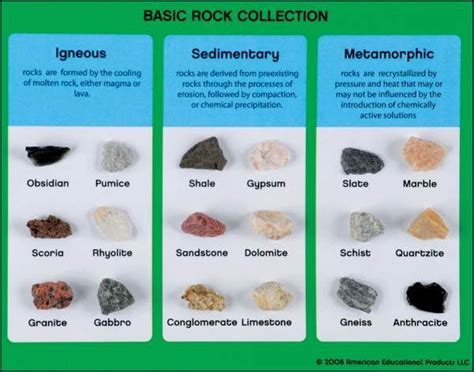 Basic Rock Kit | Sedimentary, Sedimentary rocks, Metamorphic rocks