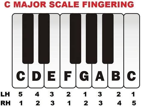 how is the C major scale played on the piano or keyboard?. A.CDEFGABC B ...