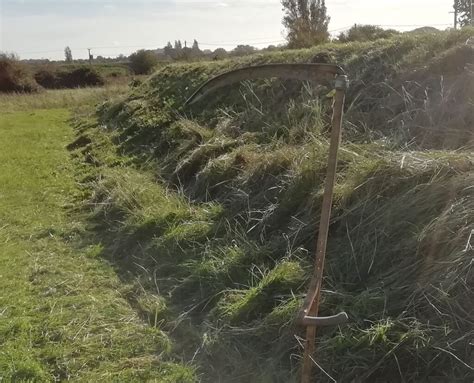 Choosing scythe blades for rough mowing - Wild Scythe