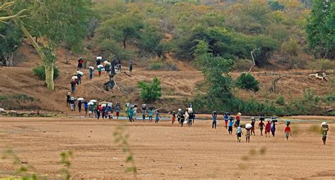 It’s boom time on the Zimbabwe border as locals turn into lockdown smugglers