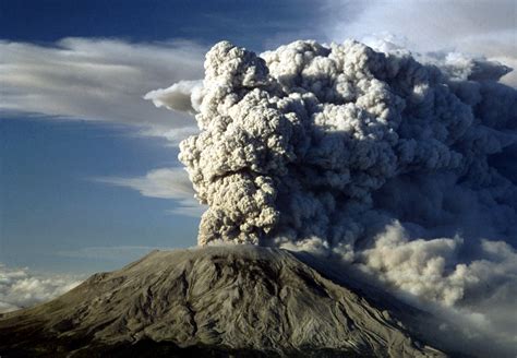 Are Dogs Allowed At Mt St Helens