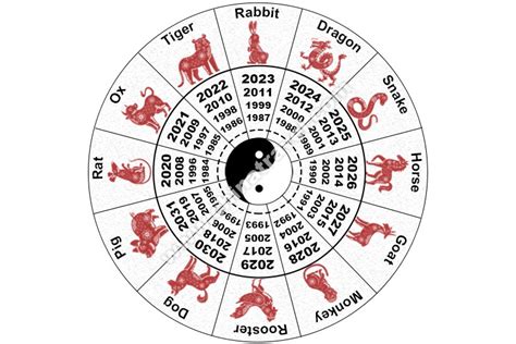 Zodiac Sign Of The Year 2024 - Angil Tabbie