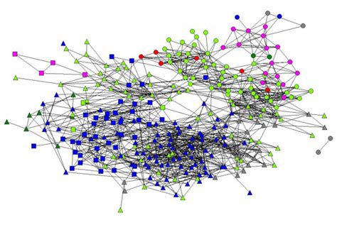 Sociogram of Physicians' Professional Network. (Directorate affiliation... | Download Scientific ...