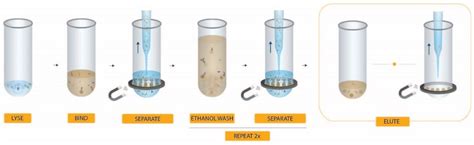 RNA Extraction from Viral Samples, RNAdvance Viral