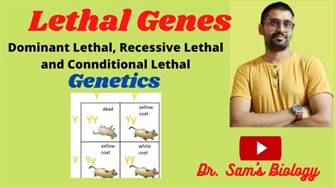 Lethal Genes (Lethal alleles) - YouTube