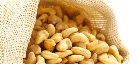 Harvesting & Processing of Cashew nut and Marketing Strategies