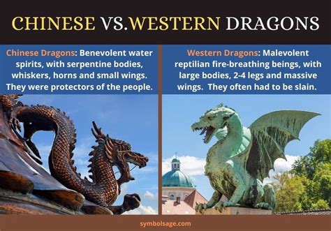 Chinese vs. Western Dragons | Dragon mythology, Mythological creatures ...