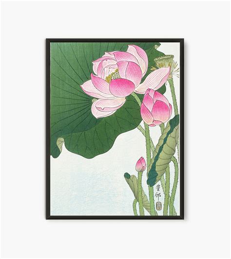 Lotus Flower Woodblock Print Japanese Botanical Art Lotus - Etsy