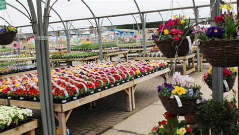 Horsham Garden Centre and Farm Shop | Hillier Garden Centres