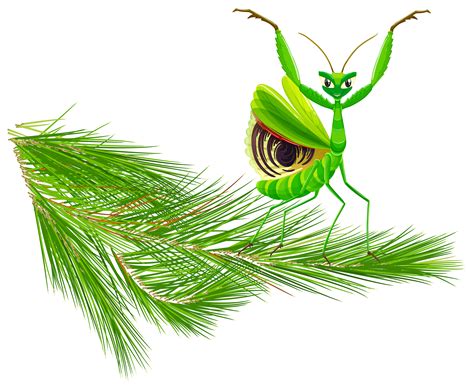 Mantis on Pine Tree Branch 301315 Vector Art at Vecteezy