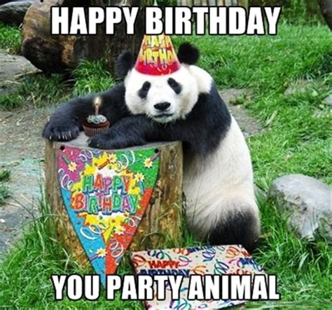 48 Amazing Birthday Memes