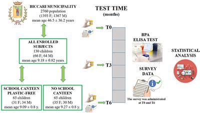Frontiers | Effects of a Plastic-Free Lifestyle on Urinary Bisphenol A Levels in School-Aged ...