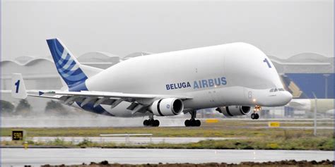 Airbus Beluga Wallpapers - Wallpaper Cave