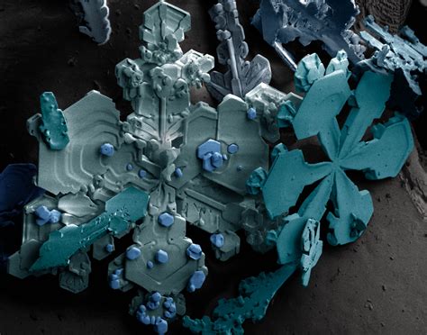 File:Snow crystals.jpg - Wikipedia