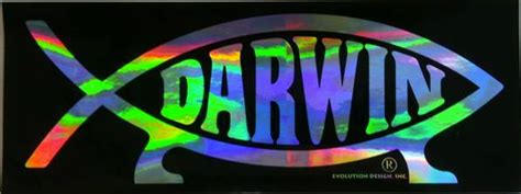 Darwin Fish Products – Darwin Fish NZ