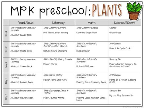 Preschool: Plants - Mrs. Plemons' Kindergarten