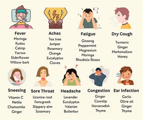 Cold and Flu Cheat Sheet - The Lost Herbs